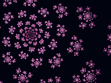 Beautiful purple computer generated  fractal flowers on blackの写真素材