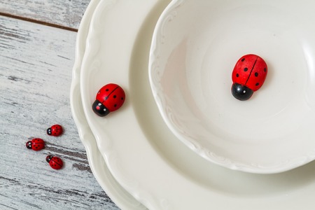 Pile of white porcelain plates and ladybugs on white wooden backgroundの写真素材