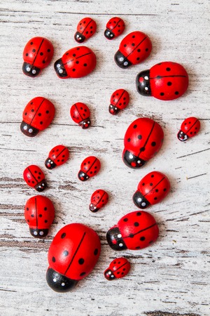 Wooden toy ladybirds on white wooden backgroundの写真素材