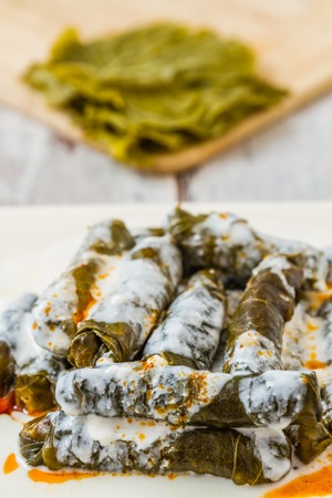 Traditional Turkish food Sarma, stuffed grape leaves with yoghurtの写真素材