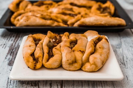 Traditional Turkish meat pastry, meat in a pitta breadの写真素材