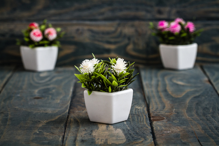 Artificial flowers in white flowerpots on blue wooden backgroundの写真素材