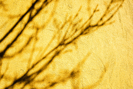 Shadow of tree branches on a yellow textured wall, creating an abstract pattern, background.