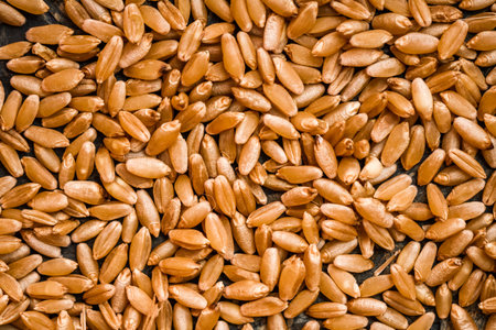 Close up image of brown wheat grains scattered on a surface, highlighting their texture and natural...