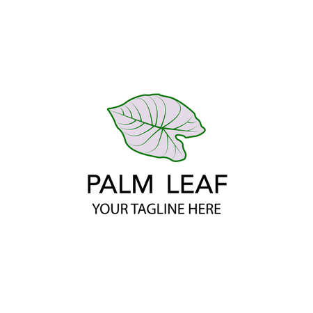 palm leaf vector illustrationのイラスト素材