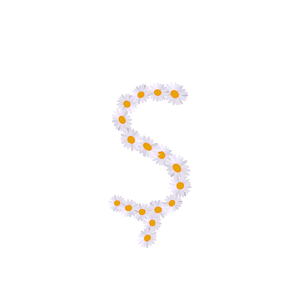 letter daisy alphabetのイラスト素材