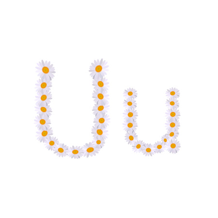 u letter daisy alphabetのイラスト素材