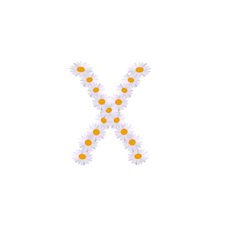 x letter daisy alphabetのイラスト素材