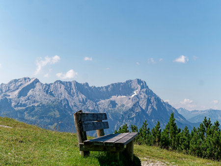 Green forest, meadow, blue sky and white clouds and with a bench for rest in the foreground.の写真素材
