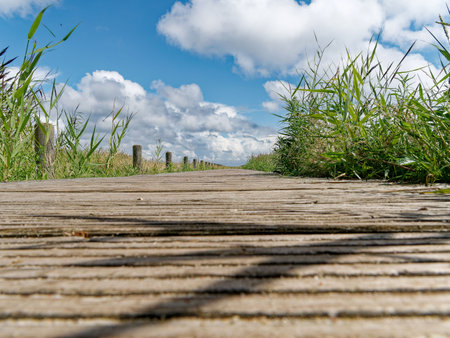 wooden walkway to the sea island of Syltの写真素材