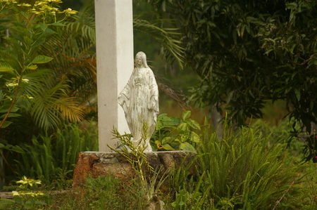 Virgin Mary statue in the middle of the forestの写真素材