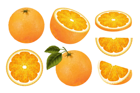 Fresh orange fruit set, juicy orange isolated on white background in 3d illustrationのイラスト素材