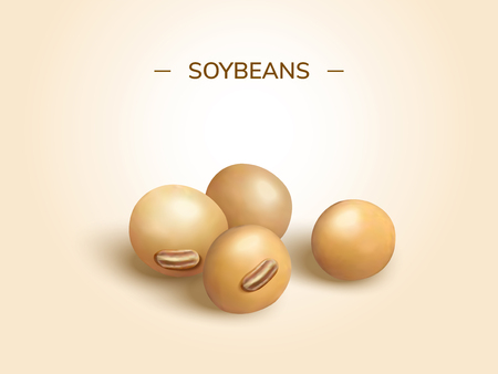Closeup look at soybeans design element in 3d illustrationのイラスト素材