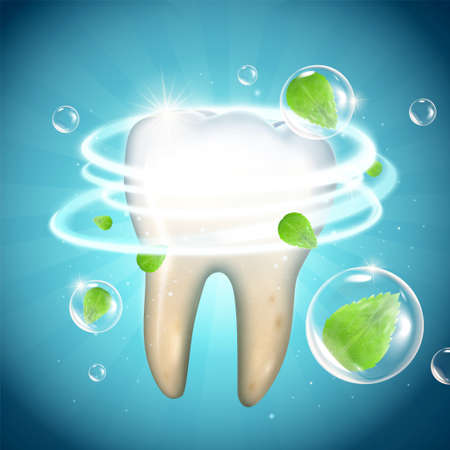 Realistic tooth model with dynamic whitening effect and flying mint leaves, 3d illustrationのイラスト素材