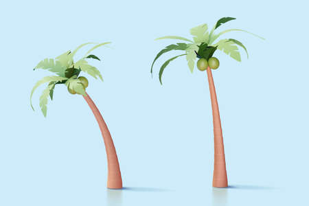 3d palm tree or coconut tree collection for island or beach vacation decoration. Nature elements isolated on blue background.のイラスト素材