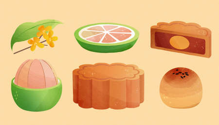 Traditional mid autumn elements isolated on beige background, including pomelo fruit, osmanthus blossom, and mooncakes. Hand drawn design.の素材 [FY310173088653]