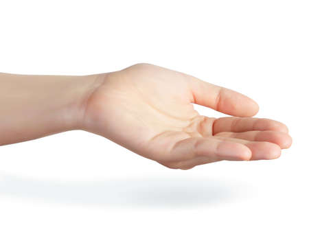 Realistic 3D female open hand illustration isolated on white backgroundのイラスト素材