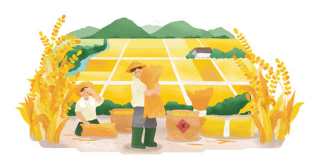 Hand drawn style farmers tying up and carrying sheaf next to some rice sacks golden ripe rice grains. Beautiful paddy landscape in the background. Text: Rice.のイラスト素材