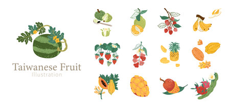 Taiwanese local fruit element set. Hand drawn style watermelon, strawberry, bananas, pineapple, mango, dragon fruits, papaya, starfruit, wax apple, lychee, and pomelo isolated on white background.のイラスト素材