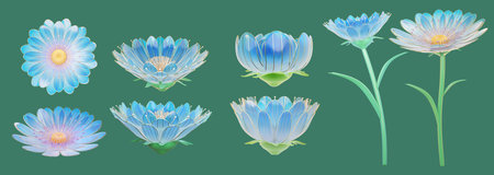 3D pink blue gradient glass daisies and stem with flower in different angle. Delicate floral mockups isolated on green background.の写真素材