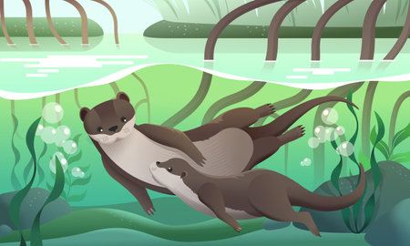 Mother and pup otters swimming under water in their habitat.のイラスト素材