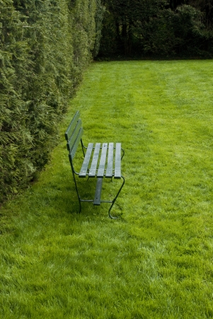 Green Bench in a Gardenの写真素材