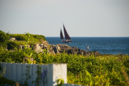 Sailing Boats over the Bayの写真素材