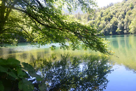 Yedigoller National Parkのeditorial素材