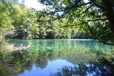 Yedigoller National Parkのeditorial素材