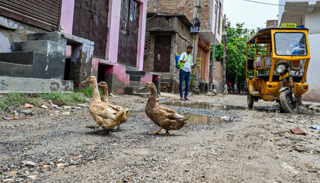 NEW DELHI, INDIA - JULY 12: MCD officials seen sprinkling Anti Larva Spray after the parts of JJ Colony gets flooded by water as the Munak canal breaches at Bawana on July 12, 2024 in New Delhi, India. A breach in the canal, that supplies water from Haryaのeditorial素材