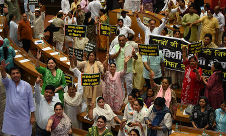 NEW DELHI, INDIA - JULY 29:  BJP councillor protest Against Delhi mayor shelly oberoi and AAP government's during the House meeting of Municipal Corporation of Delhi at civic center  on July 29, 2024 in New Delhi, India.  (Photo by Sonu Mehta/Hindustan Tiのeditorial素材