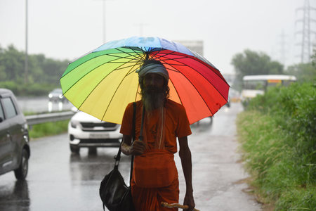 GURUGRAM, INDIA - JULY 31: Kanwariyas carrying holy water in from River Ganga in Haridwar going back to their hometown amid rain during the Kanwar Yatra at National Highway-48 near IFFCO Chowk elevated flyover, on July 31, 2024 in Gurugram, India. (Photo のeditorial素材