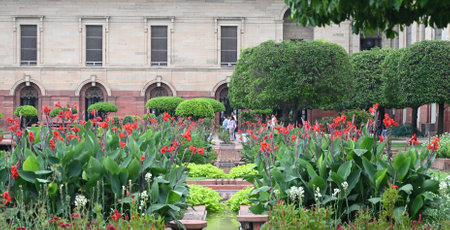 NEW DELHI, INDIA - AUGUST 13: Flowers in blooms visits a flower at the Amrit Udyan, at Rashtrapati Bhavan on August 13, 2024 in New Delhi, India. Amrit Udyan will be open for the general public from August 16, 2024 to September 16, 2024 (except on Mondaysのeditorial素材
