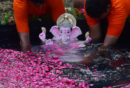 MUMBAI, INDIA - SEPTEMBER 8: A volunteer immerses Lord Ganesha idol in an artificial pond during the one-and-half day Ganpati immersion, at Dadar, on September 8, 2024 in Mumbai, India. (Photo by Bhushan Koyande/Hindustan Times )のeditorial素材