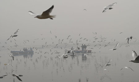 NEW DELHI, INDIA - NOVEMBER 18: Thick layer of smog amid rise in pollution levels at bank of the Yamuna river at Yamuna Bazar  on November 18, 2024 in New Delhi, India.  (Photo by Arvind Yadav/Hindustan Times)のeditorial素材
