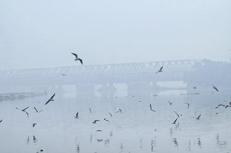 NEW DELHI, INDIA - NOVEMBER 17: A thick layer of smog amid rise in pollution levels seen over Yamuna , on November 17, 2024 in New Delhi, India. (Photo by Vipin Kumar/Hindustan Times )のeditorial素材