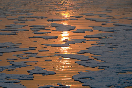 NEW DELHI INDIA NOVEMBER 27 2024 A view of Yamuna River which is covered with foam from the discharge of untreated industrial and domestic waste at Kalindi Kunj on November 27 2024 in New Delhi India Photo by Sunil Ghosh Hindustan Timesのeditorial素材