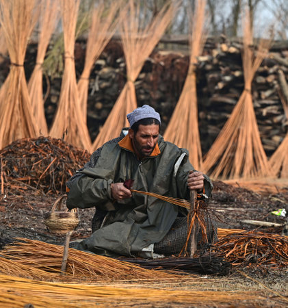 SRINAGAR INDIA DECEMBER 2 2024 A Worker peels off the bark of wicker sticks at a village on December...