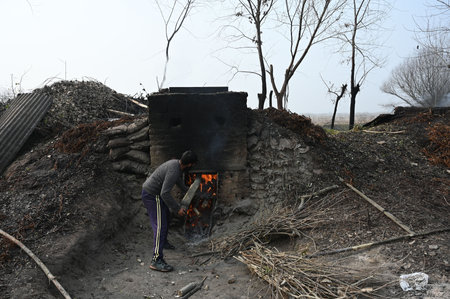 SRINAGAR INDIA DECEMBER 2 2024 A worker dumps wicker in the boiler at a village on December 2 2024 in Ganderbal district some 20 Kilometres from Srinagar India Wicker is used for making baskets furniture and fire pots Photo by Waseem Andrabi Hindustan Timのeditorial素材