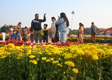 NOIDA, INDIA - DECEMBER 15: Visitors seen on the second day of the first Noida Chrysanthemum Flower...