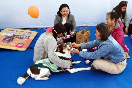 NEW DELHI, INDIA - DECEMBER 15: Pet lovers participated with their pets during the Pet Fed festival at NSIC Ground, on December 15, 2024 inNew Delhi, India. (Photo by Vipin Kumar/Hindustan Times )のeditorial素材