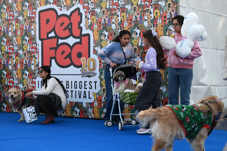 NEW DELHI, INDIA - DECEMBER 15: People along with their pets participate in two-days PET Festival Pet Fed, at NSIC Ground, on December 15, 2024 inNew Delhi, India. (Photo by Salman Ali/Hindustan Times )のeditorial素材