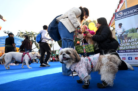 NEW DELHI, INDIA - DECEMBER 15: People along with their pets participate in two-days PET Festival Pet Fed, at NSIC Ground, on December 15, 2024 inNew Delhi, India. (Photo by Salman Ali/Hindustan Times )のeditorial素材