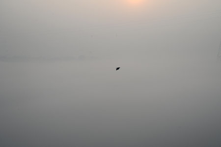 NEW DELHI INDIA DECEMBER 17 2024 A view of Yamuna River covered in fog near Kalindi Kunj on December 17 2024 in New Delhi India Delhi NCR witnessed severe smog and drastically reduced visibility on morning as air quality plummeted back into the severe catのeditorial素材