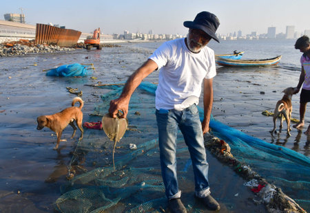 MUMBAI INDIA DECEMBER 16 2024 Fisheries Department Mangrove Foundation and local fisherman during the Ocean Plastic Clean up Campaign involved in collecting garbage plastic floating in the sea near Girgaon Chowpatty on December 16 2024 in Mumbai India Phoのeditorial素材
