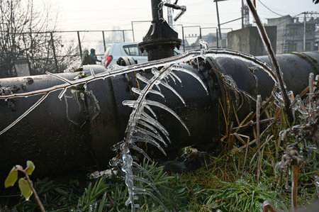 SRINAGAR INDIA DECEMBER 19 2024 Icicles hang off of grass on Decemberr 19 2024 in Srinagar India An extreme cold wave gripped Kashmir Valley with Srinagar experiencing its coldest night of the season at minus 6 degree Celsius Photo by Waseem Andrabi Hinduのeditorial素材