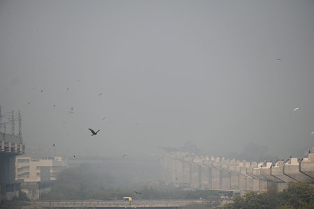 NEW DELHI INDIA DECEMBER 22 2024 A view of smog engulfed at Jasola Vihar after air quality dip on December 22 2024 in New Delhi India Delhi NCR experienced a foggy morning on Sunday with the minimum temperature recorded at 7 3 degrees Celcius two notches のeditorial素材