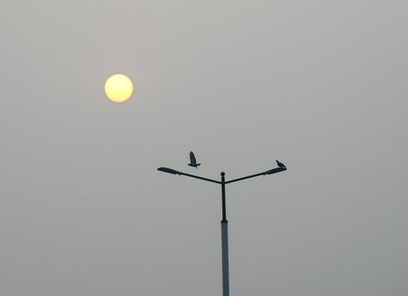 NOIDA, INDIA - DECEMBER 31: A view of last sunset of the year 2024, on December 31, 2024 in Noida, India. (Photo by Sunil Ghosh/Hindustan Times )のeditorial素材
