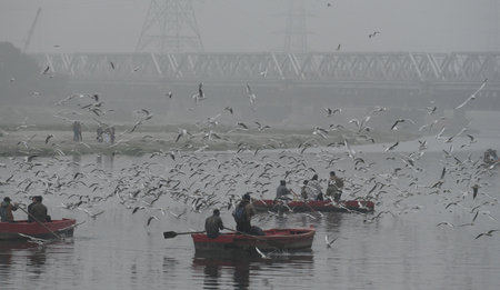 NEW DELHI, INDIA - DECEMBER 30: People seen feeding seagulls in Yamuna river during the a cold winter foggy morning,on December 30, 2024 in New Delhi, India. North India is reeling under cold weather with temperatures plummeting across several states. As のeditorial素材