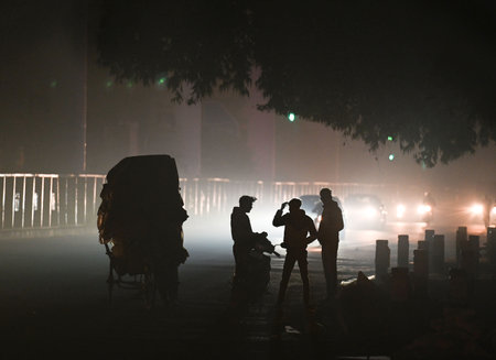NEW DELHI, INDIA - DECEMBER 29: A layer of fog seen engulfed in the early hours of the morning at Patel Nagar on December 29, 2024 in New Delhi, India. North India is reeling under cold weather with temperatures plummeting across several states. As per IMのeditorial素材